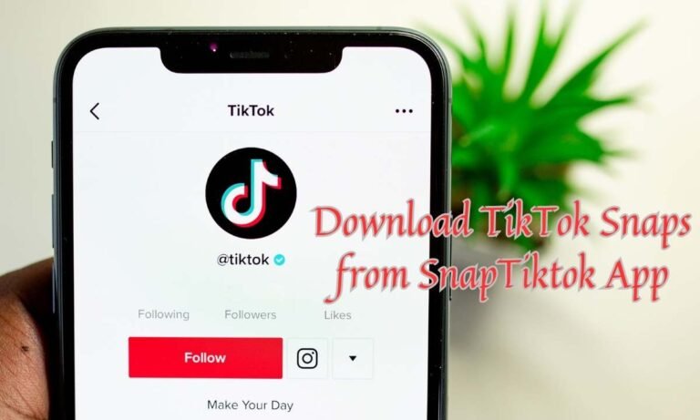 SnapTiktok App