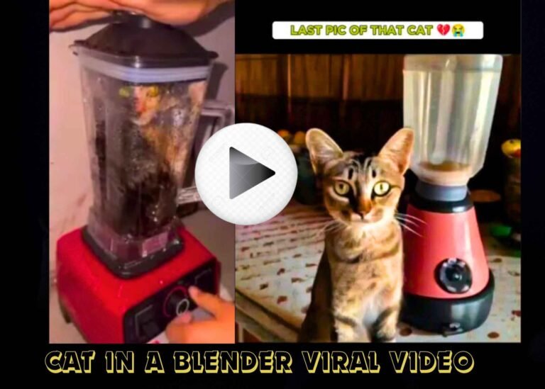 Cat in Blender
